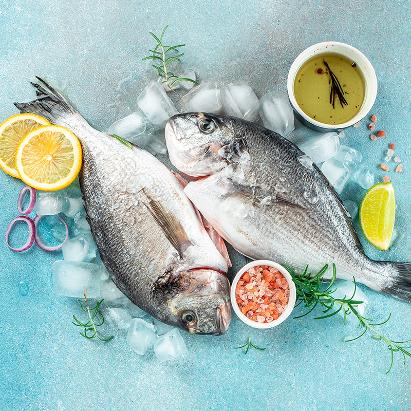 Nombre del pescado 6