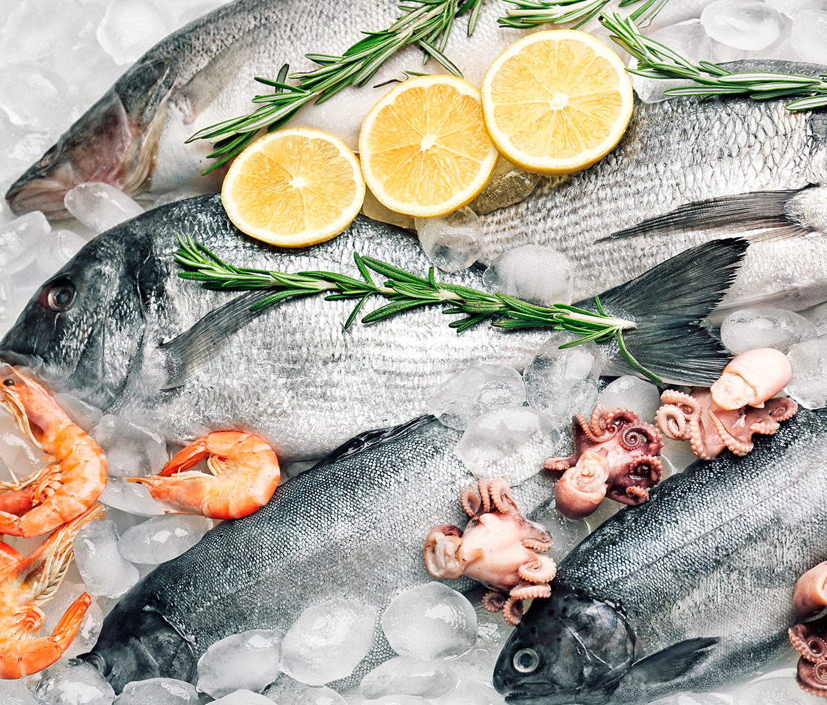 Suministro de productos congelados