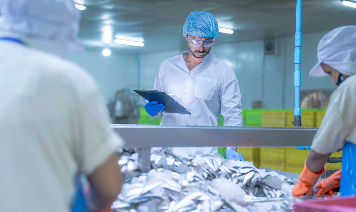 Verificacion, control y documentacion